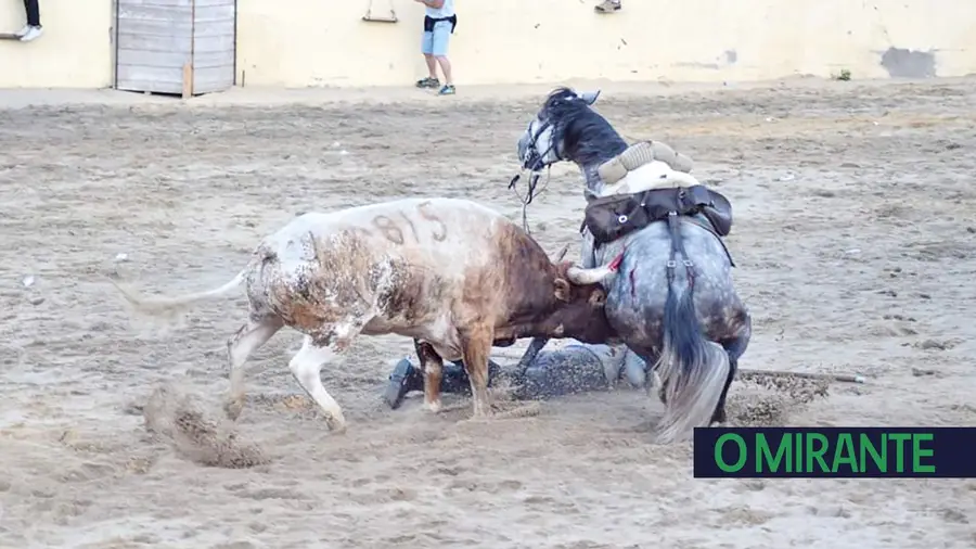 Bem-estar animal na agenda política de Vila Franca de Xira