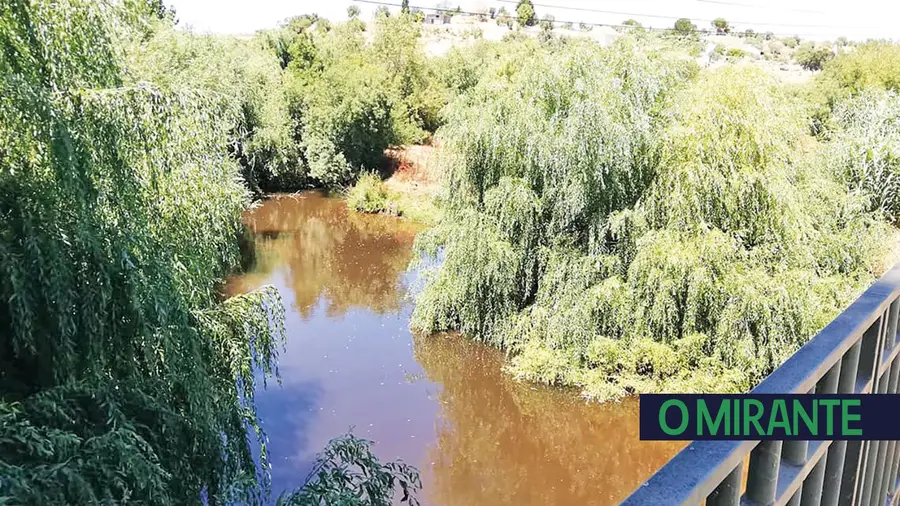 Poluição volta a atingir o rio Alviela