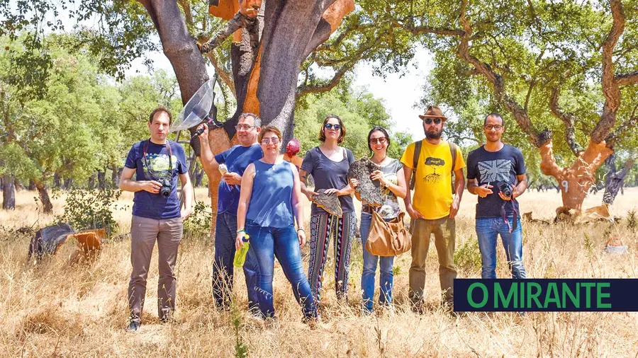 Coruche acolheu residência de jovens artistas