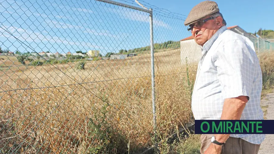 Vizinho não limpa terreno e Protecção Civil aconselha recurso aos tribunais