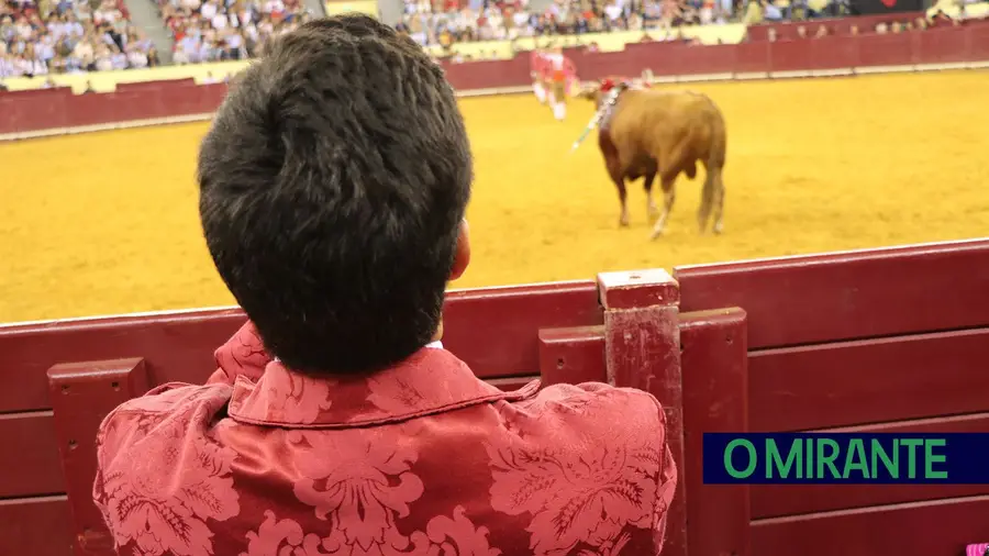 Seis forcados feridos na corrida de toiros em Tomar Seis forcados feridos na corrida de toiros em Tomar