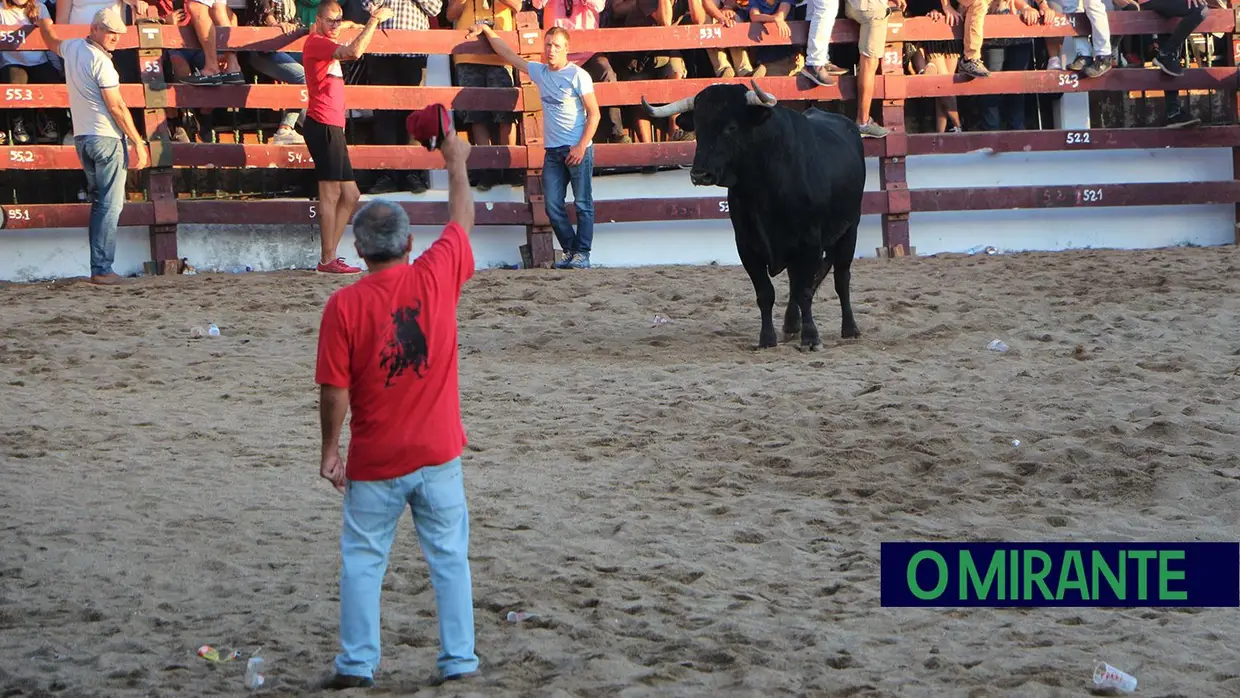 Desfile e homenagem ao campino nas festas de Samora Correia