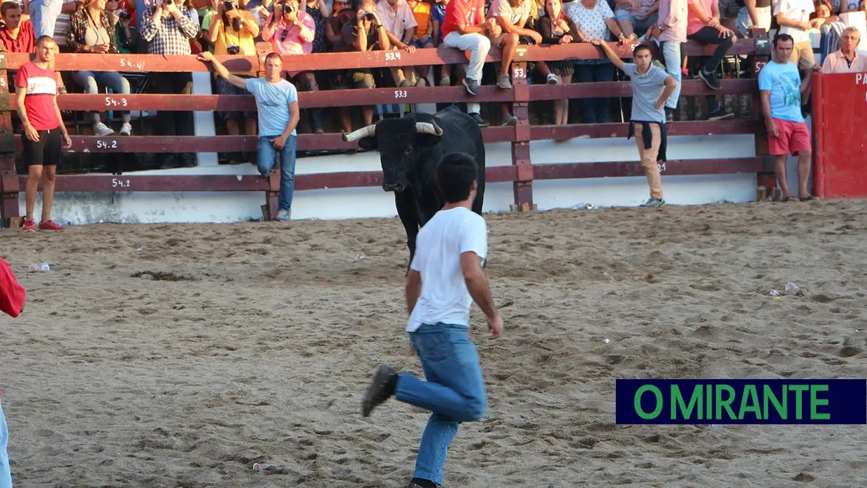 Desfile e homenagem ao campino nas festas de Samora Correia