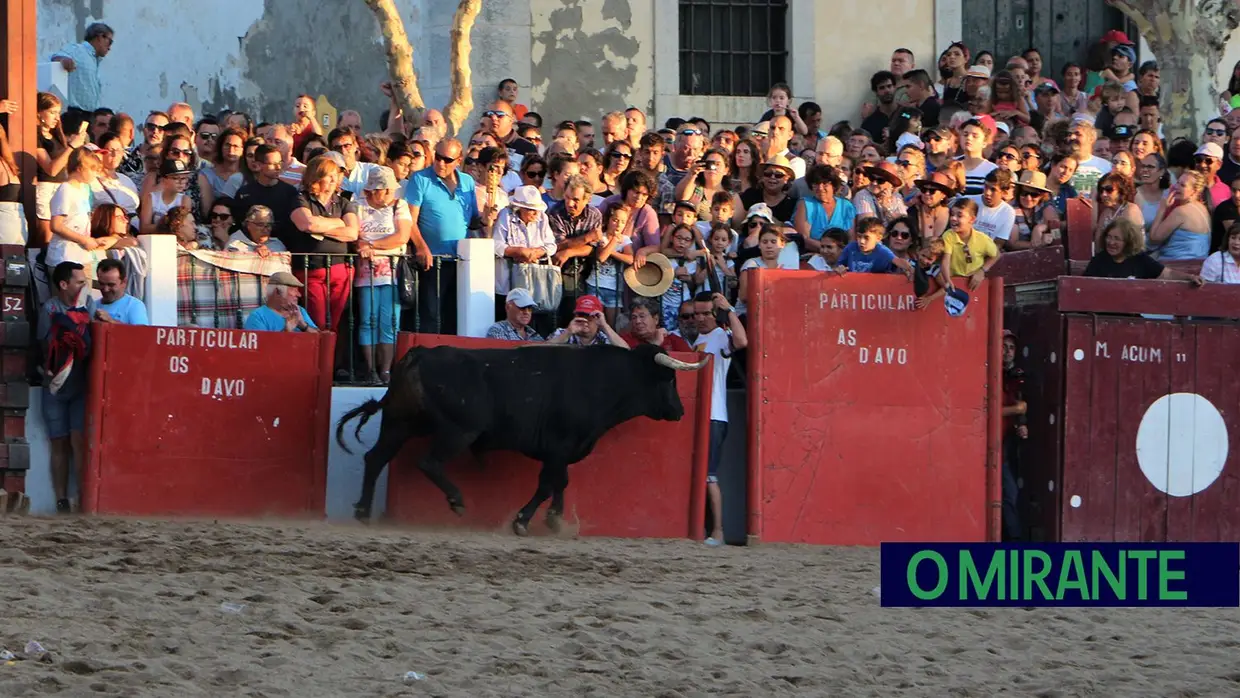 Desfile e homenagem ao campino nas festas de Samora Correia