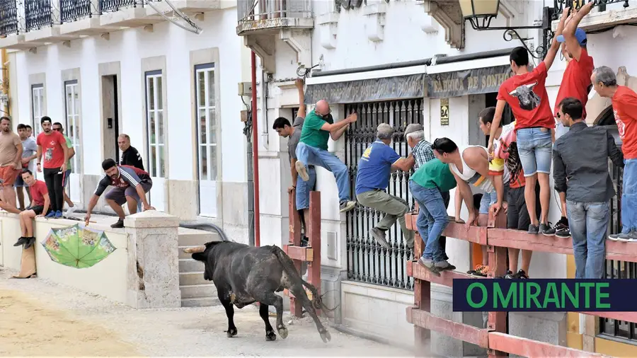 Trepadores à força.