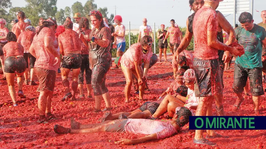 É preciso ter tomates! É preciso ter tomates!
