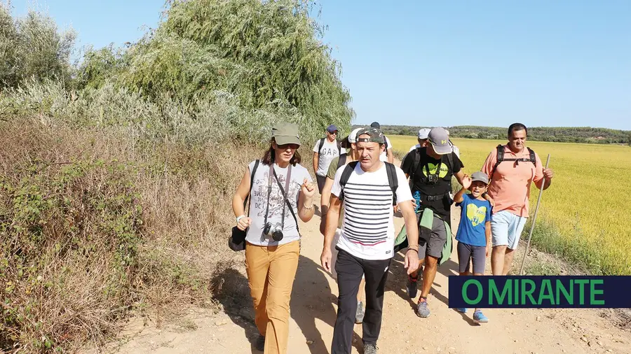 Caminhar feitos tontos em vez de aproveitar energias.