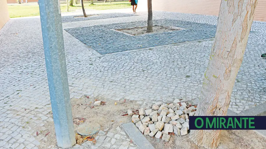 Rua Isabel Alemão - Samora Correia Rua Isabel Alemão - Samora Correia