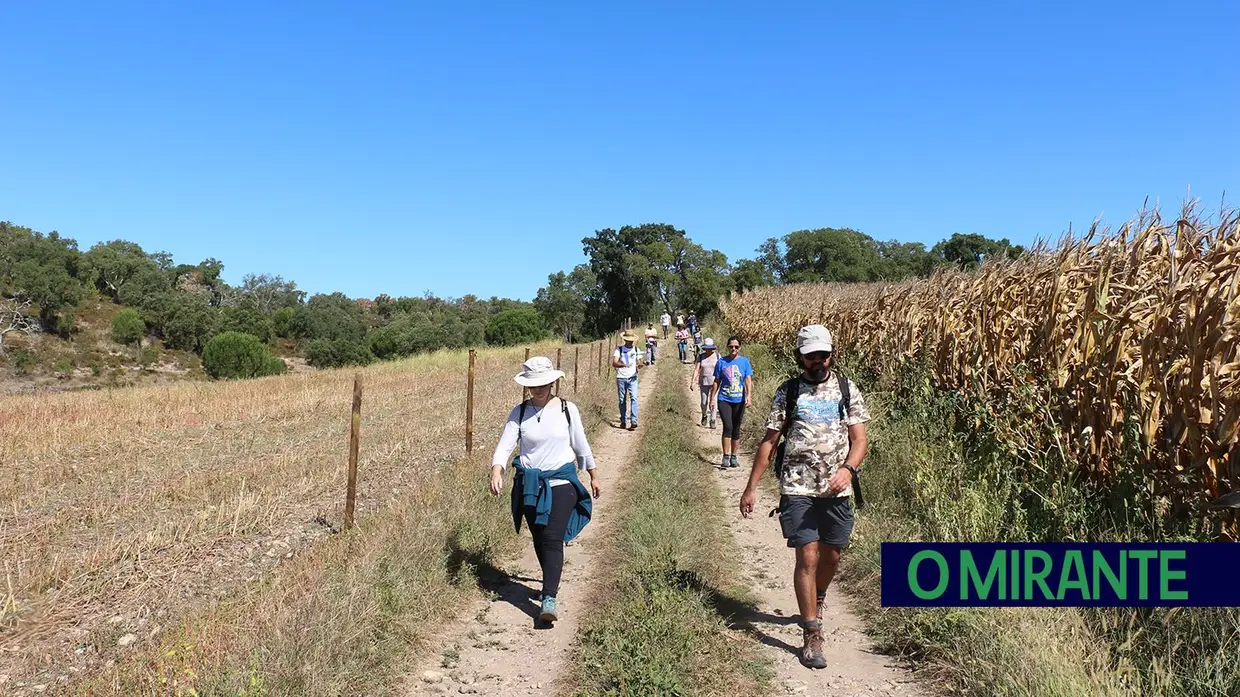 Caminhada pela charneca ribatejana junta meia centena de pessoas