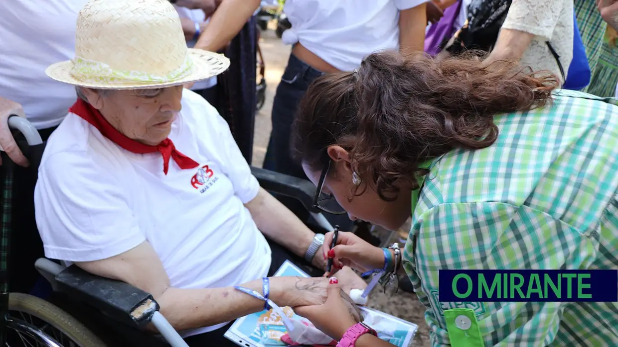 Festival da Terceira Idade em Pernes