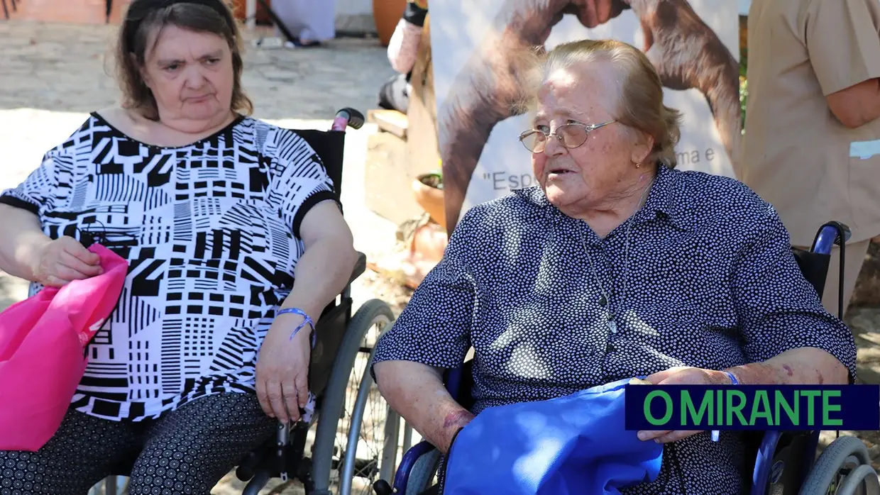 Festival da Terceira Idade em Pernes