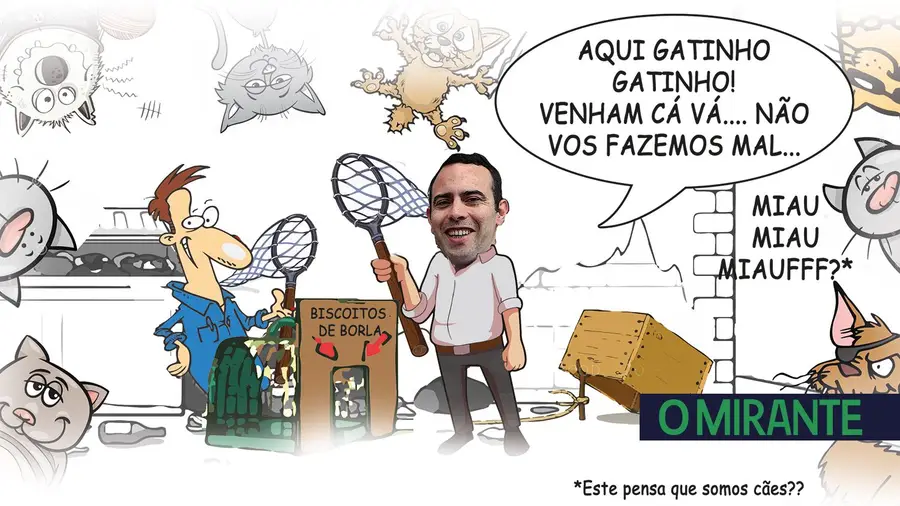 O jogo do gato e do Rato O jogo do gato e do Rato