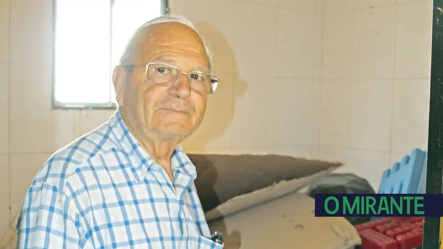 Viver em sociedade obriga-nos a trabalhar por um mundo melhor e menos poluído Viver em sociedade obriga-nos a trabalhar por um mundo melhor e menos poluído