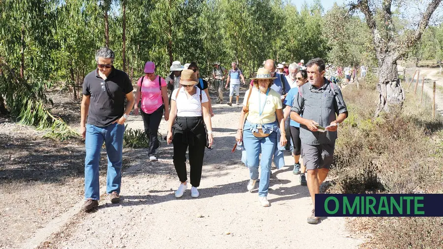 Caminhar na charneca da Chamusca para valorizar o interior do país Caminhar na charneca da Chamusca para valorizar o interior do país