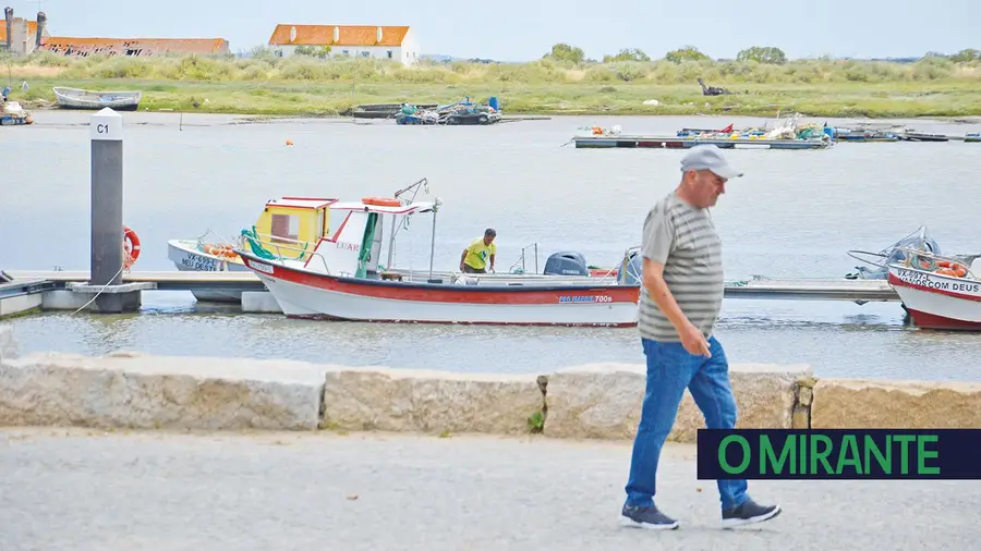 Mouchão da Póvoa está a afundar-se e a sua recuperação é cada vez mais difícil Mouchão da Póvoa está a afundar-se e a sua recuperação é cada vez mais difícil