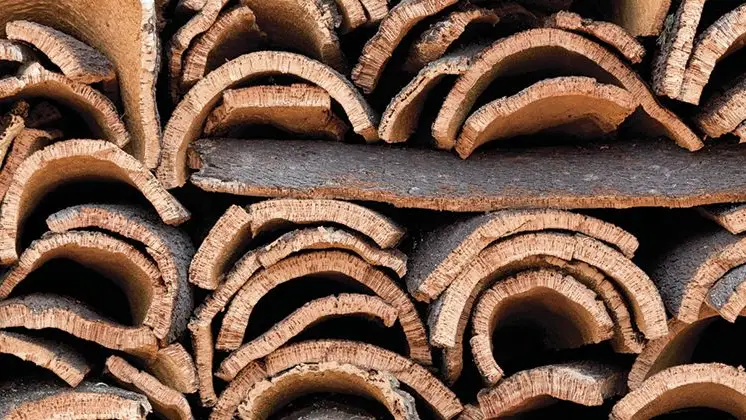 Furtos de cortiça têm vindo a aumentar na região Furtos de cortiça têm vindo a aumentar na região