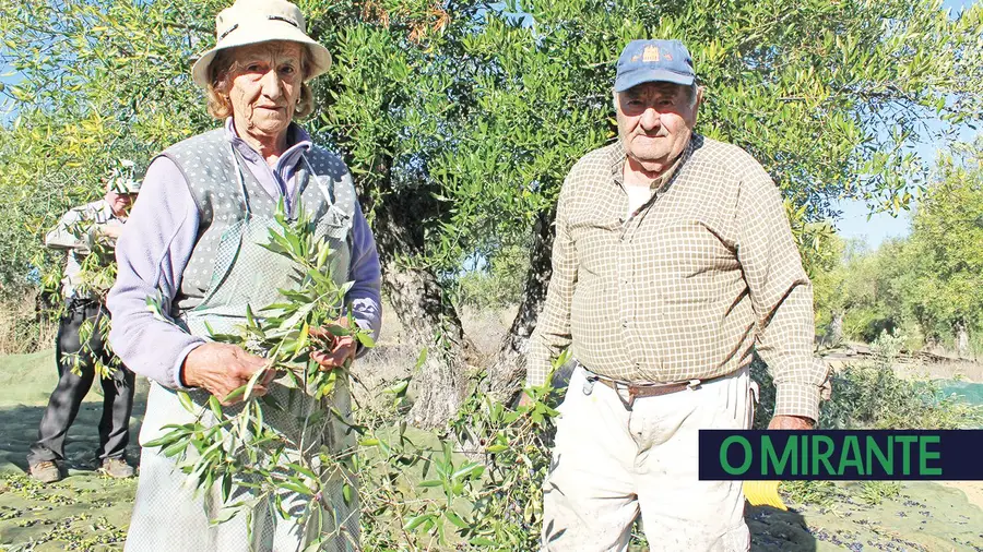 Na região grande parte do trabalho agrícola é feito por maiores de 65 anos Na região grande parte do trabalho agrícola é feito por maiores de 65 anos