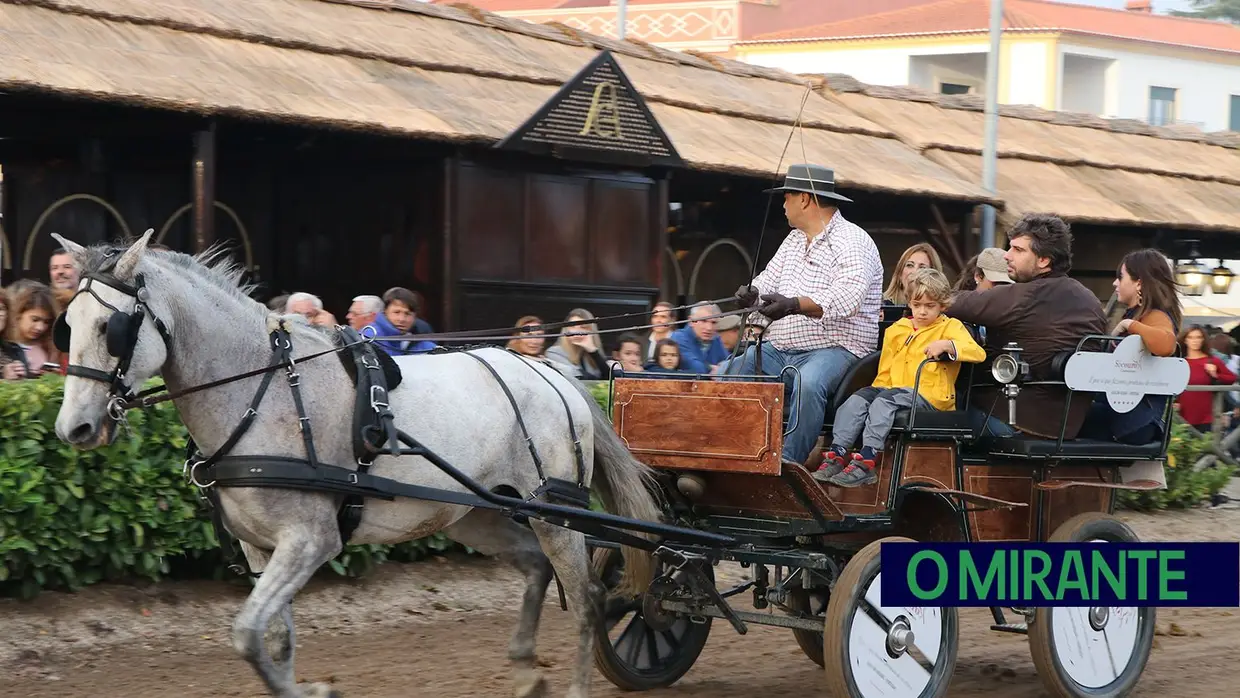 Feira de S. Martinho na Golegã