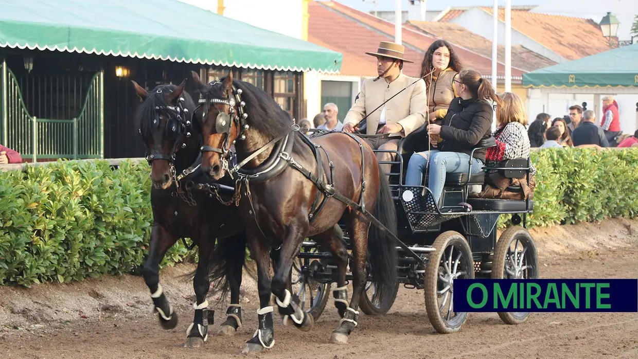 Feira de S. Martinho na Golegã