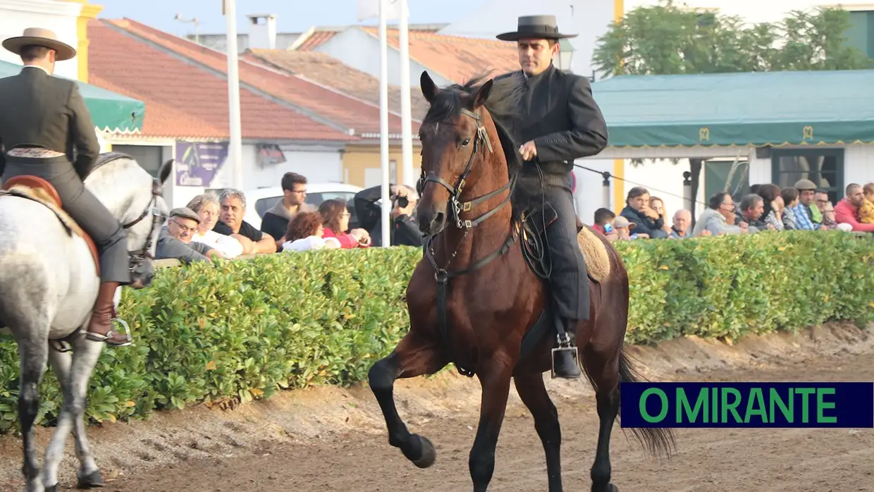 Feira de S. Martinho na Golegã