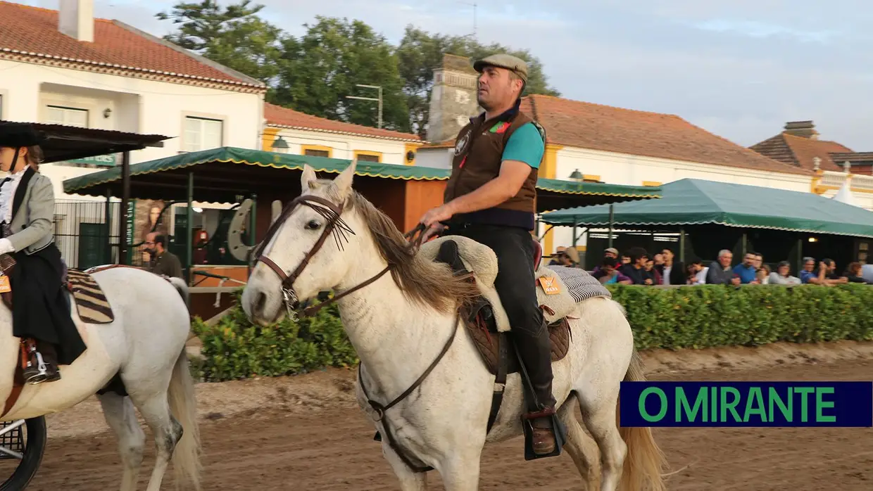 Feira de S. Martinho na Golegã