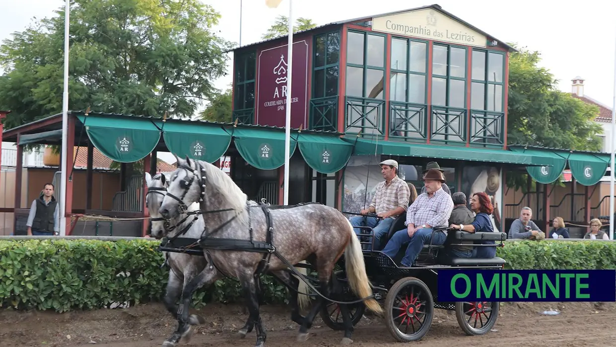 Feira de S. Martinho na Golegã