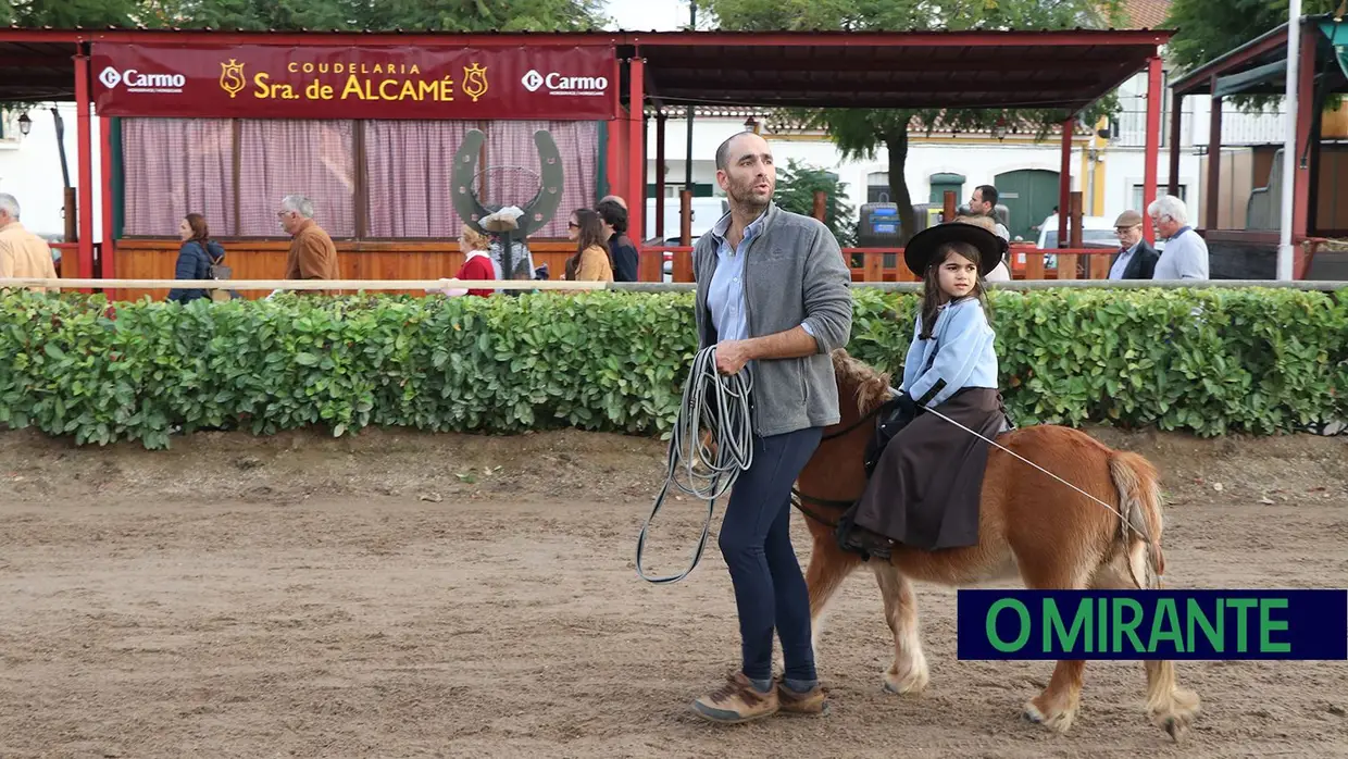 Feira de S. Martinho na Golegã