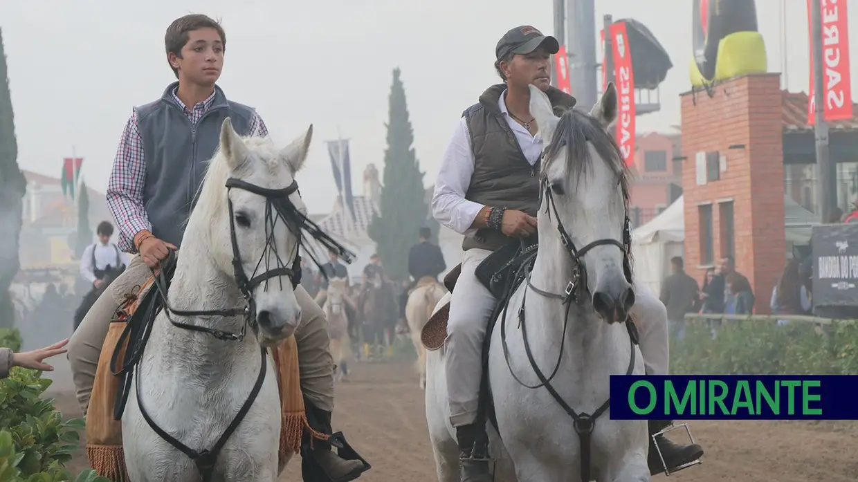 Feira de S. Martinho na Golegã