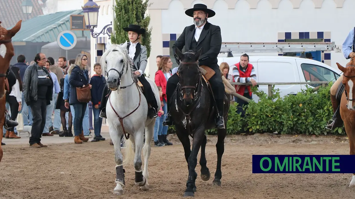 Feira de S. Martinho na Golegã