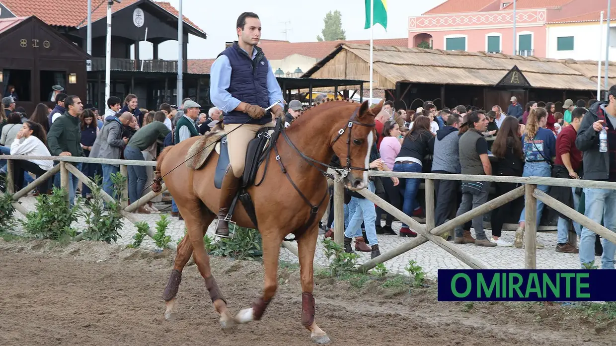 Feira de S. Martinho na Golegã