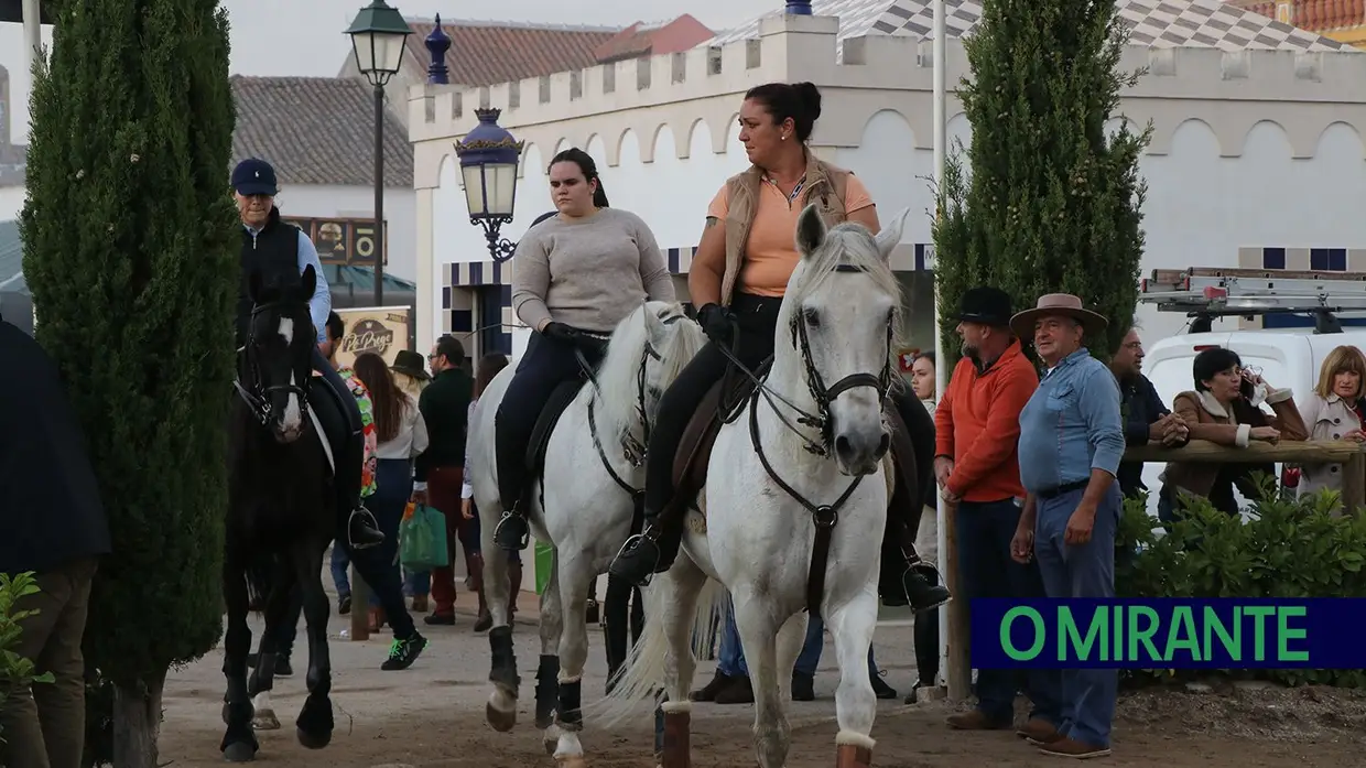 Feira de S. Martinho na Golegã