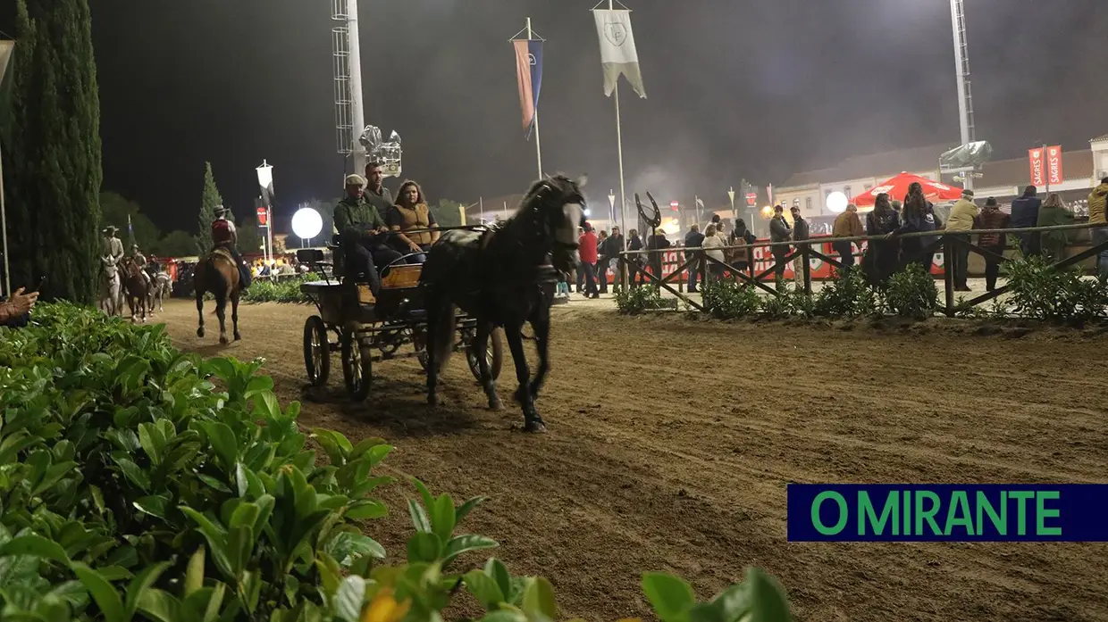 Feira de S. Martinho na Golegã