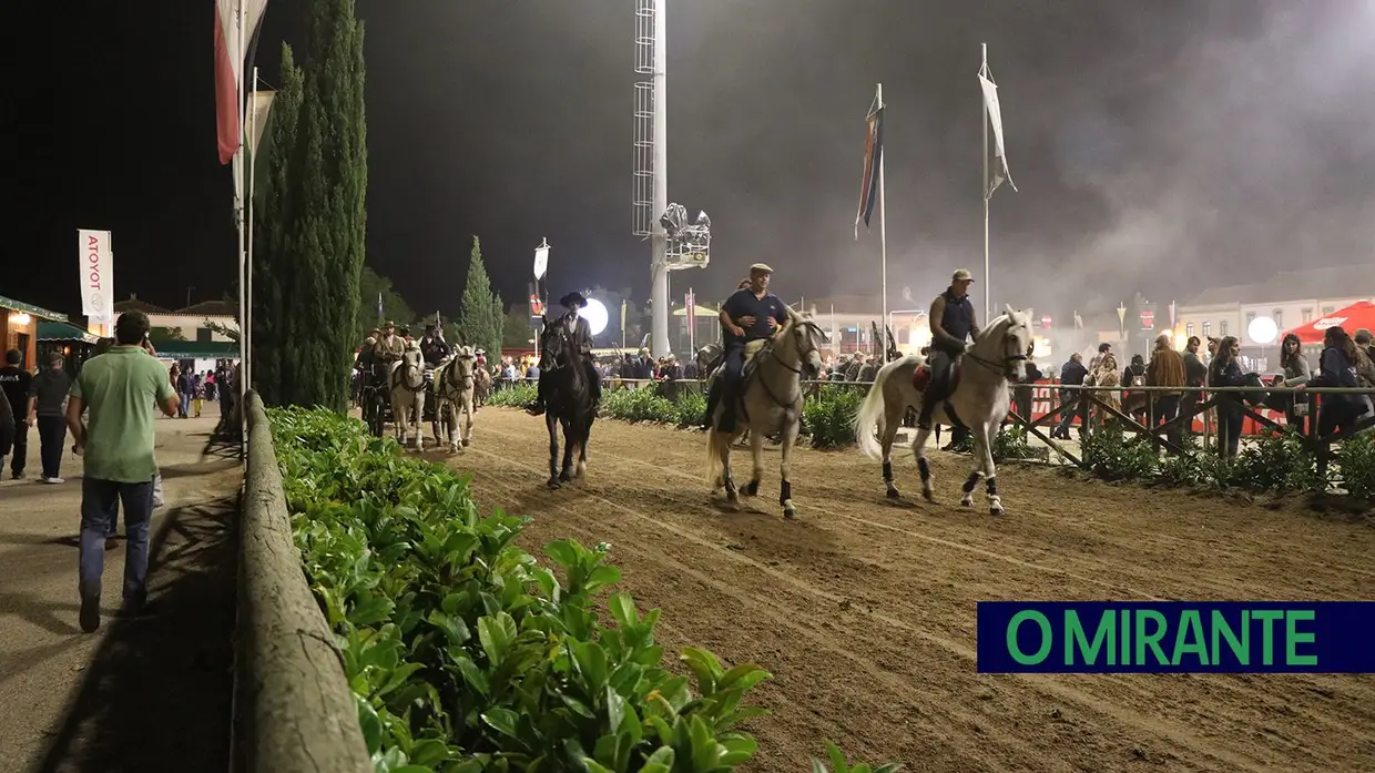 Feira de S. Martinho na Golegã