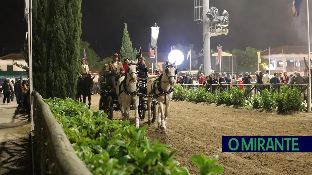 Feira de S. Martinho na Golegã