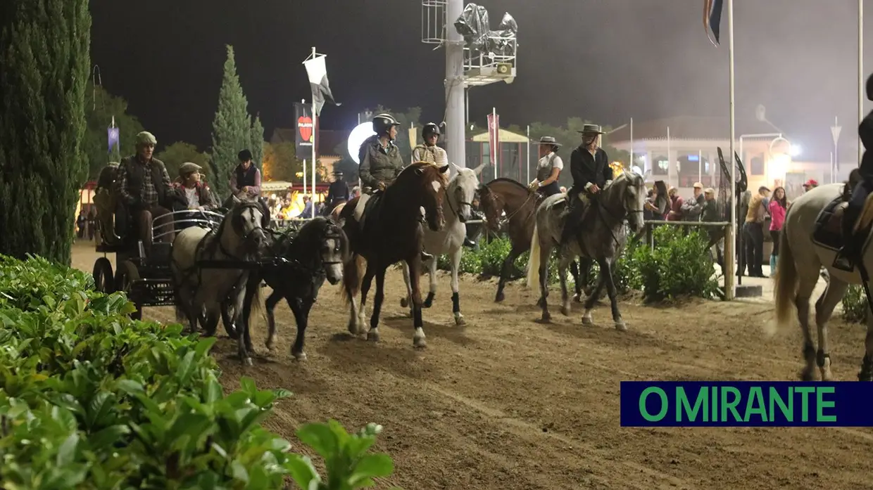 Feira de S. Martinho na Golegã