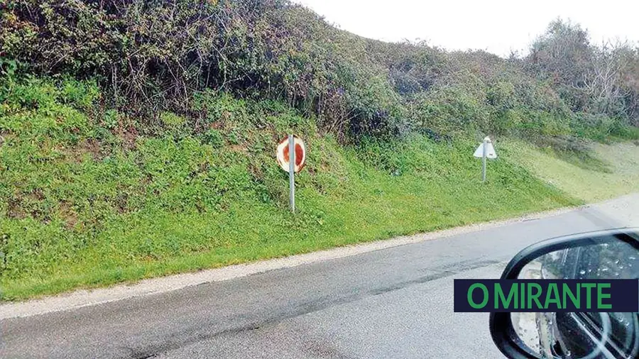 Estrada Nacional 365 entre Almoster e Santarém precisa ser melhorada Estrada Nacional 365 entre Almoster e Santarém precisa ser melhorada
