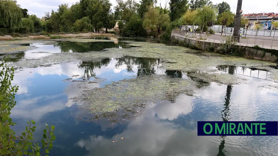 Bloco questiona Governo sobre poluição no rio Nabão