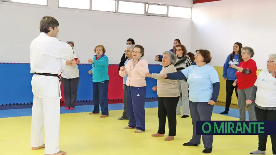 O Dia Internacional das Pessoas com Deficiência O Dia Internacional das Pessoas com Deficiência