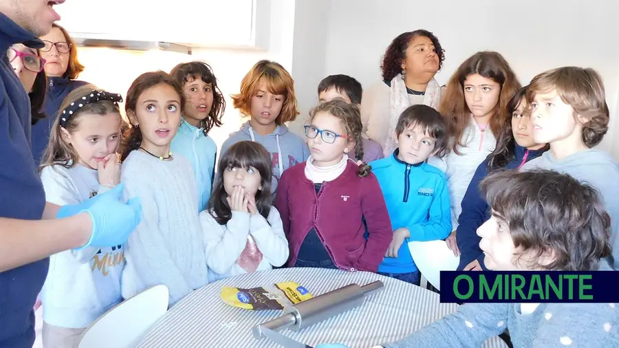 Para assinalar o Dia Internacional das Pessoas com Deficiência Para assinalar o Dia Internacional das Pessoas com Deficiência
