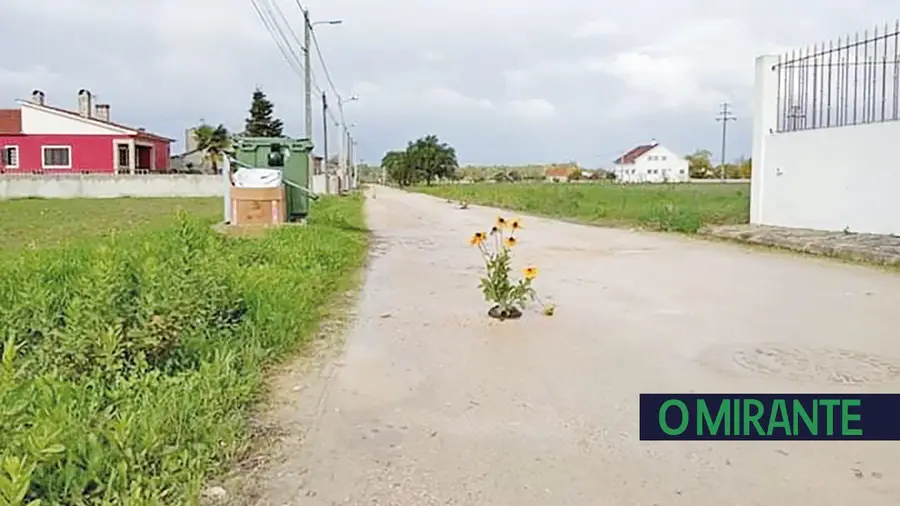 Uma guerra ganha com flores