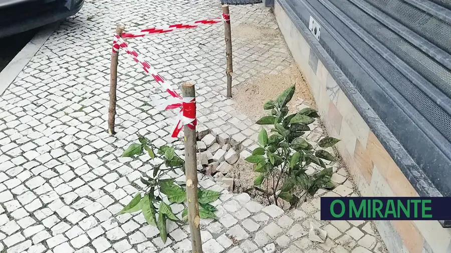 Rua Dom António  de Ataíde - Castanheira do Ribatejo 