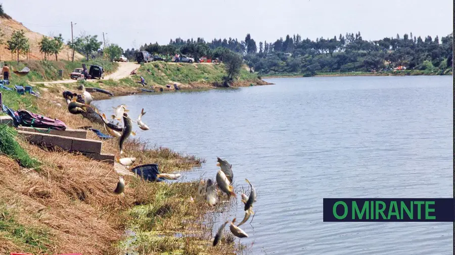 Município limita acesso de automóveis à barragem dos Patudos Município limita acesso de automóveis à barragem dos Patudos