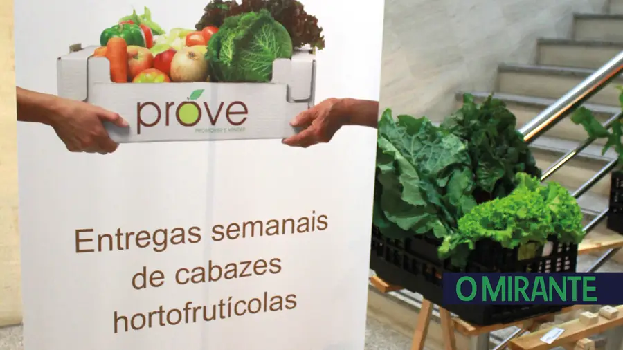 Núcleo de Produtores PROVE procura novos agricultores