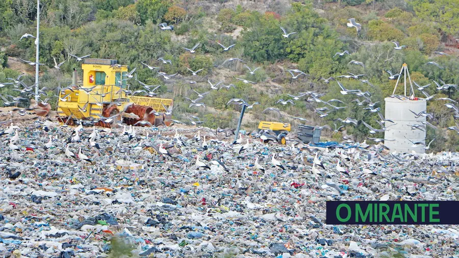 Azambuja obrigada a aumentar aterro para evitar multas