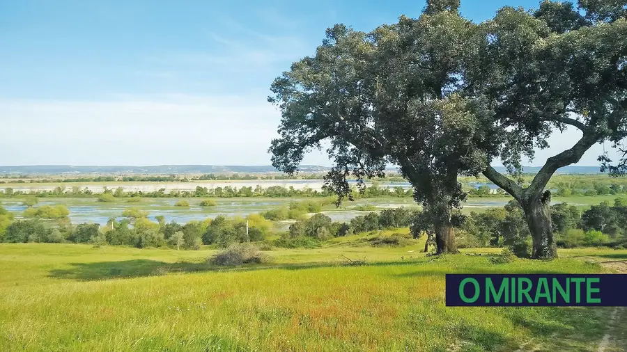 Poluição ambiental resolve-se com mais fiscalização no terreno Poluição ambiental resolve-se com mais fiscalização no terreno
