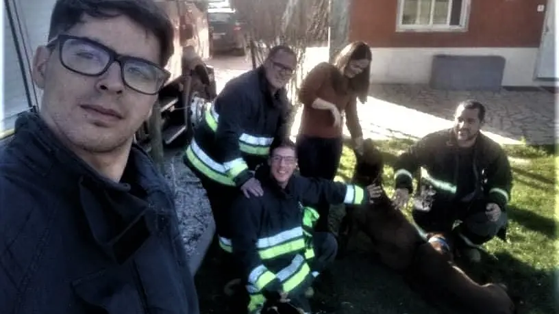 Bombeiros resgatam cão de telhado em Foros de Salvaterra