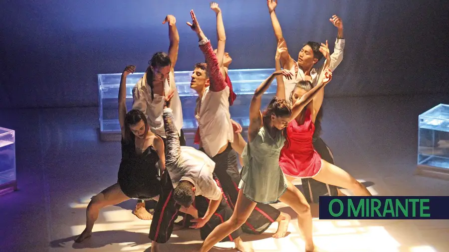 A actuação da Companhia de Dança Contemporânea Quorum Ballet A actuação da Companhia de Dança Contemporânea Quorum Ballet