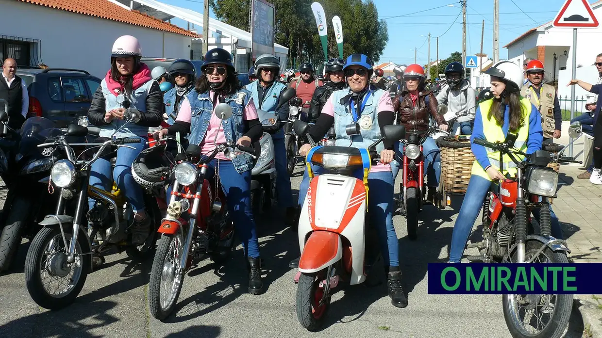 Festival do Cogumelo na Parreira 2020