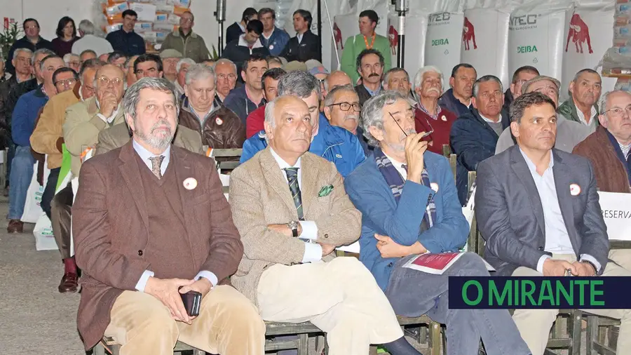 Projecto de emparcelamento da Agromais continua parado Projecto de emparcelamento da Agromais continua parado