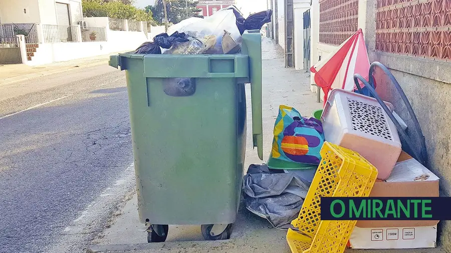 Entretidos com a limpeza Entretidos com a limpeza